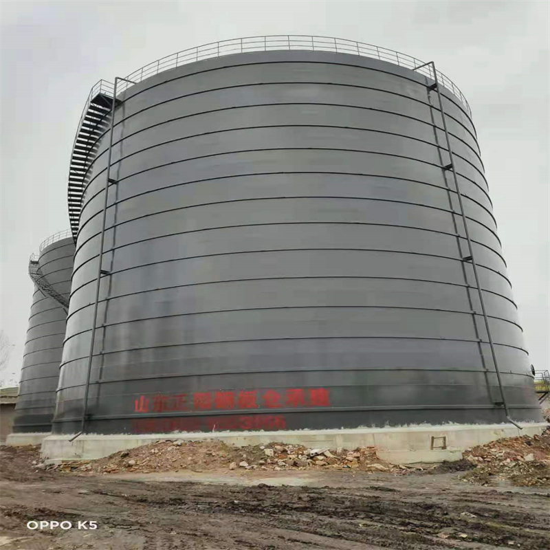 蚌山3万吨大型钢板库