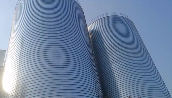 蚌山2座混凝土高架卷板仓